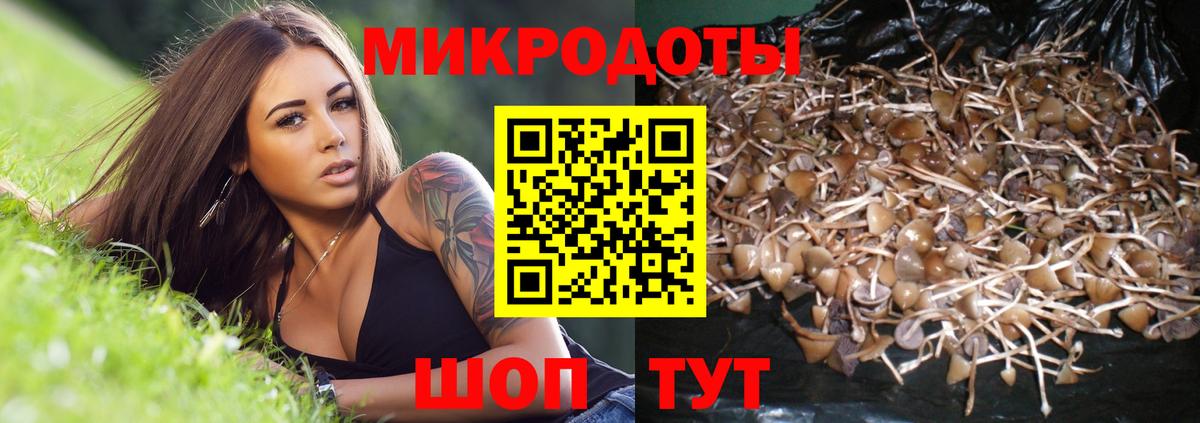 Галлюциногенные грибы GOLDEN TEACHER  Вход с VPN  где продают   Зеленогорск 