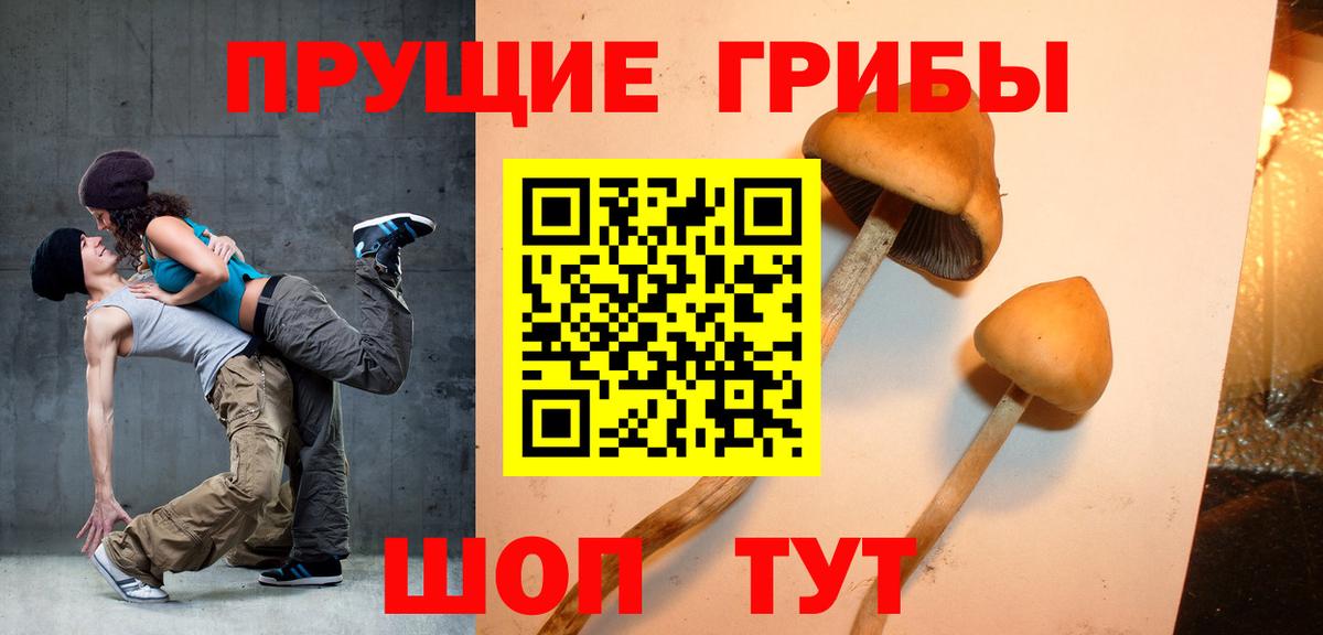 Галлюциногенные грибы GOLDEN TEACHER Зеленогорск
